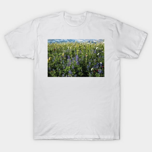 Close Up Of Wildflowers Mount Rainier National Park T-Shirt by HammiltenJohn